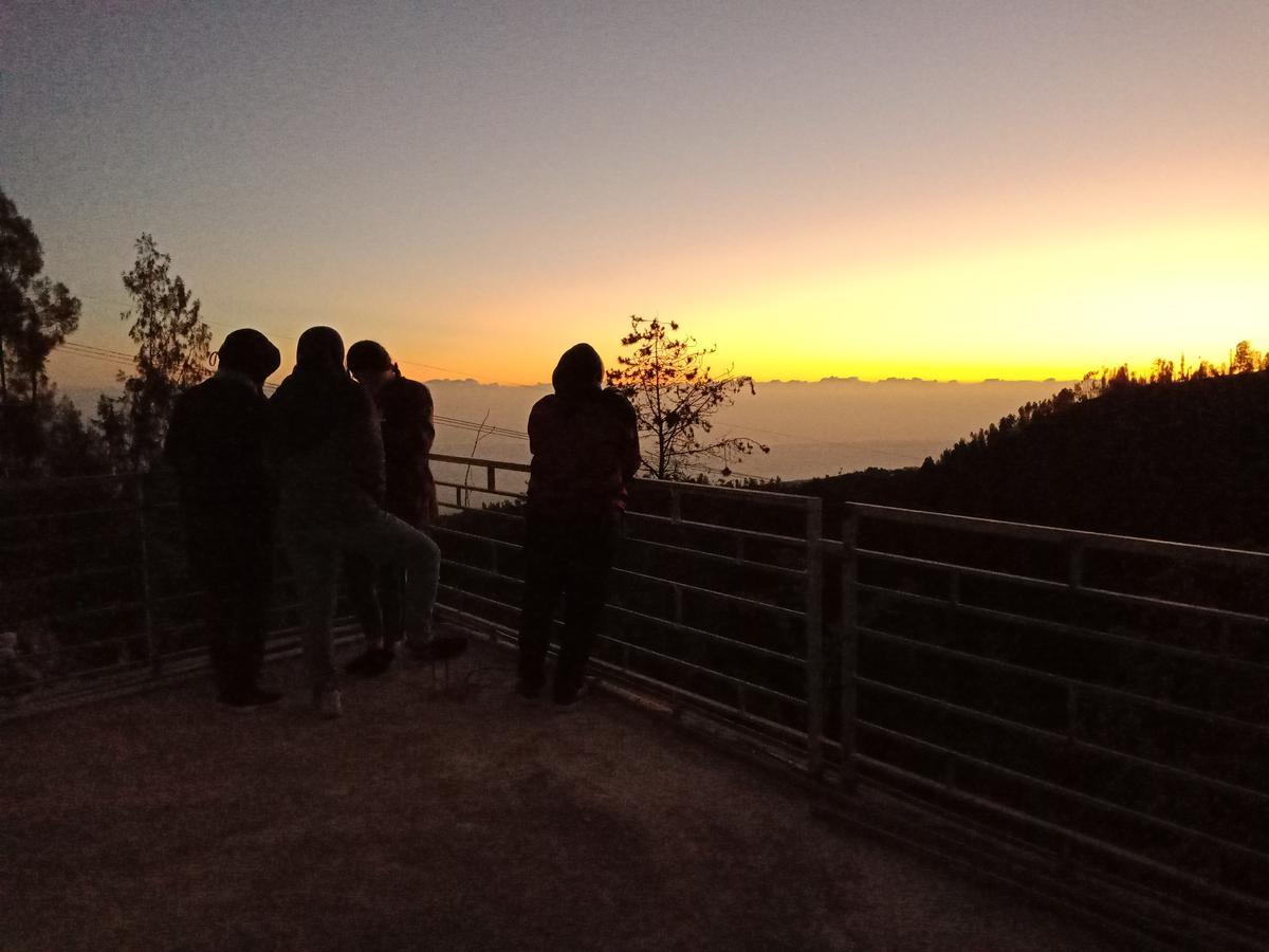 Bromo Backpacker Tosari Daire Pasuruan Dış mekan fotoğraf