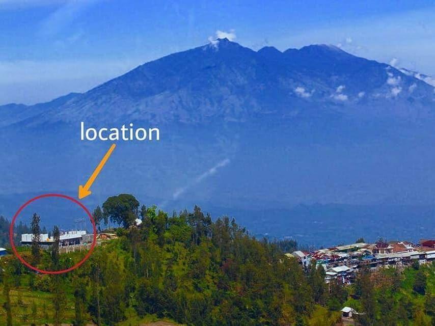 Bromo Backpacker Tosari Daire Pasuruan Dış mekan fotoğraf